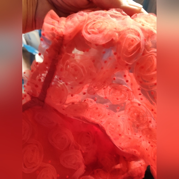Red Rosette Tulle Top  Size L  NWT - Picture 2 of 5